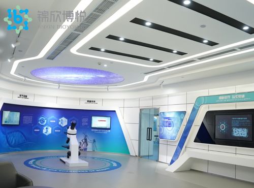 成功入庫國家項目，成都錦欣博悅加速技術創新與軟件開發布局